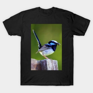 Australian Superb Fairy-Wren T-Shirt